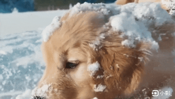 微信图片_20240416110014.gif