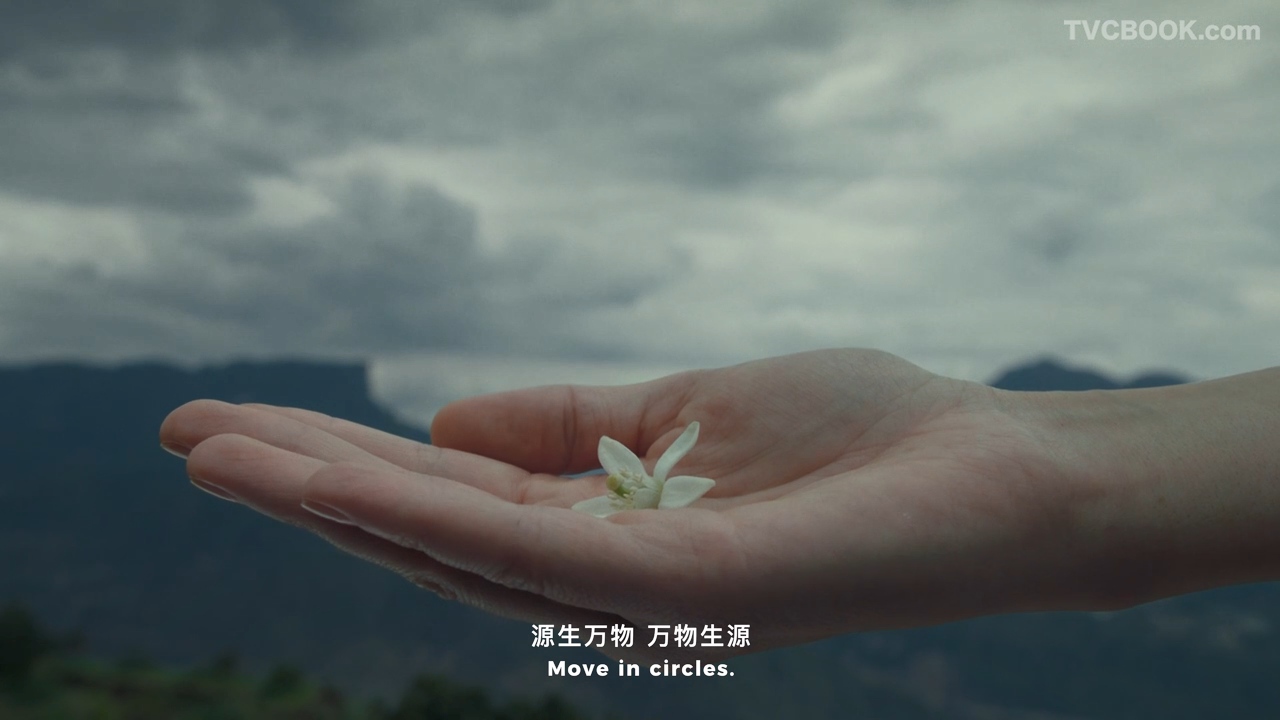 微信图片_20241021134134.png